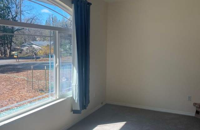 Gorgeous Bellview Oaks Home!! Gallery 4