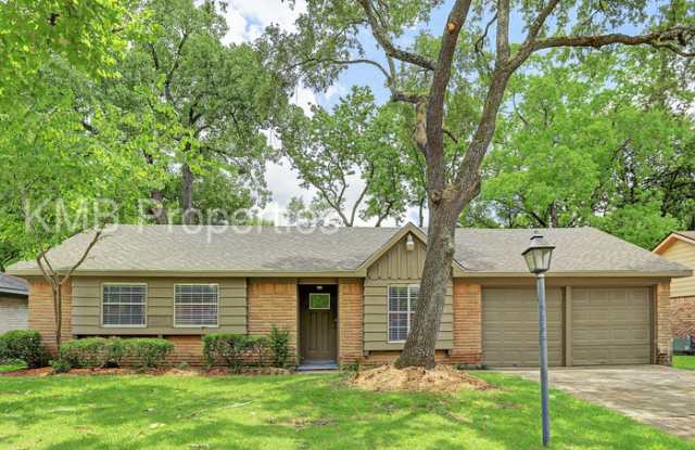 6015 Dawnridge Drive - 6015 Dawnridge Drive, Houston, TX 77035
