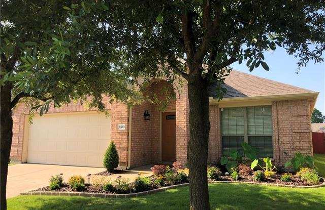 9513 Palm Valley Drive - 9513 Palm Valley Drive, McKinney, TX 75072