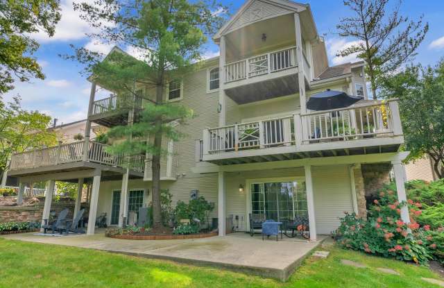 55 Tayside Street photos photos