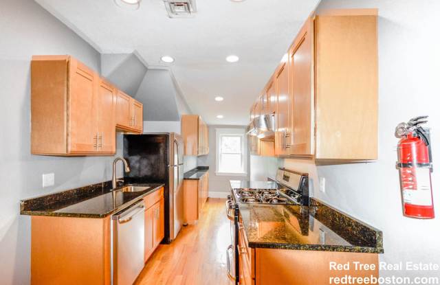 231 Chestnut Hill Avenue - 231 Chestnut Hill Avenue, Boston, MA 02135