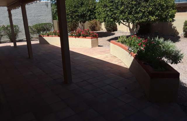26425 S TRURO Drive Gallery 4