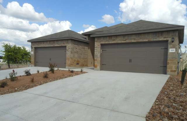 115 Joanne Cove - 115 Joanne Cove, Guadalupe County, TX 78130