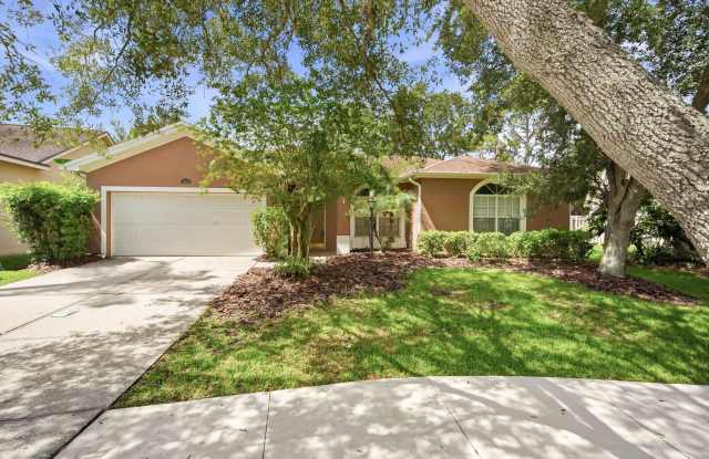 Beautiful 4/2 Westchase Home photos photos