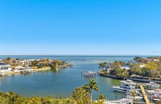 1325 SNELL ISLE BOULEVARD NE - 1325 Snell Isle Boulevard Northeast, St. Petersburg, FL 33704 1325 SNELL ISLE BOULEVARD NE - 1325 Snell Isle Boulevard Northeast, St. Petersburg, FL 33704