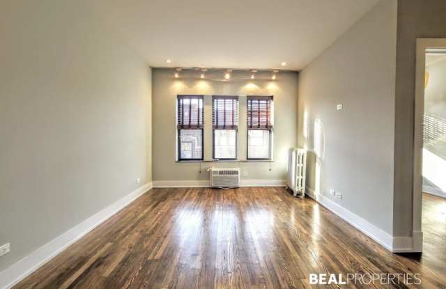 742 W Addison - 742 West Addison Street, Chicago, IL 60613