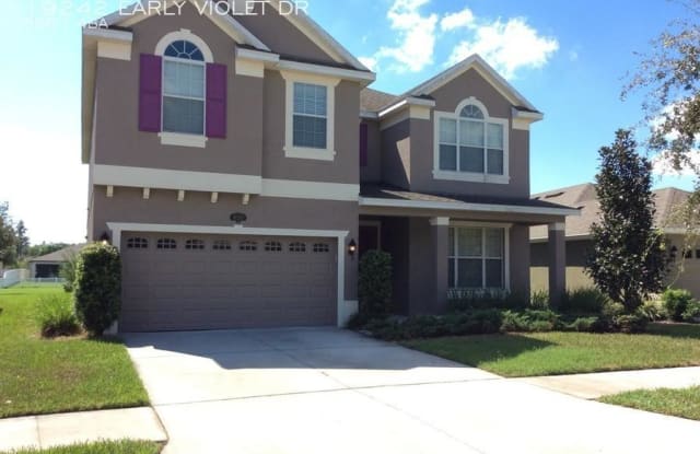 19242 EARLY VIOLET DR - 19242 Early Violet Dr, Tampa, FL 33647