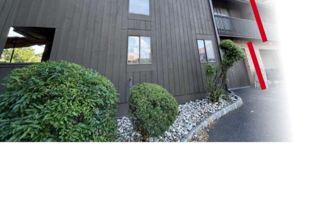 11 Westgate Drive Gallery 2