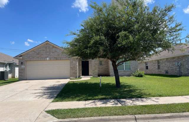 Single Family in Enclave at Brushy Creek - 1108 Delia Chappa Lane, Hutto, TX 78634
