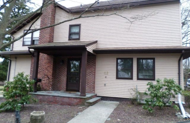 4 Ruhe Lane - 4 Ruhe Lane, Nanuet, NY 10994