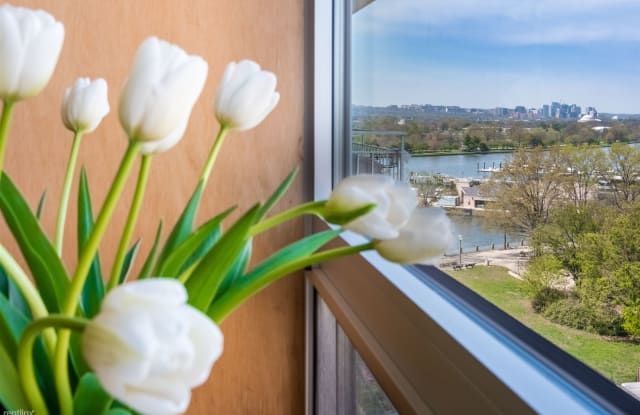 Riverside Condominiums - 1425 4th St SW, Washington, DC 20024