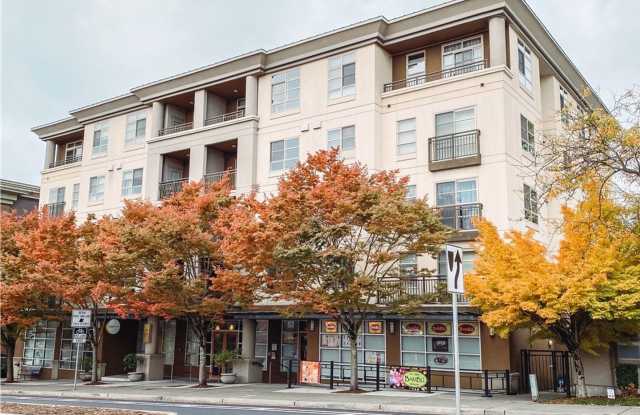 0Bd/1Ba Bellevue Condo photos photos