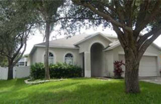 Pool Home - 909 Grand Canyon Drive, Valrico, FL 33594