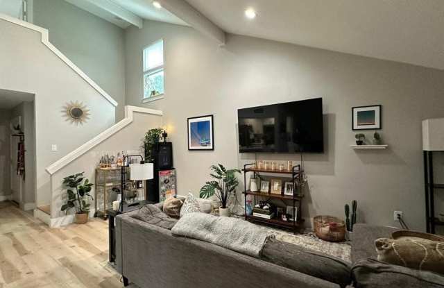 1712  Cinnamon PATH Gallery 2