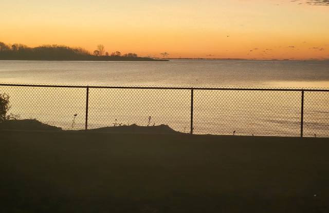 24 Littlefield Avenue photos photos