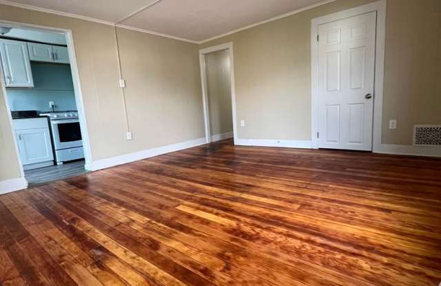 Gorgeous 1-bedroom, Second floor! Apartment in quiet Pittsfield Street Gallery 2