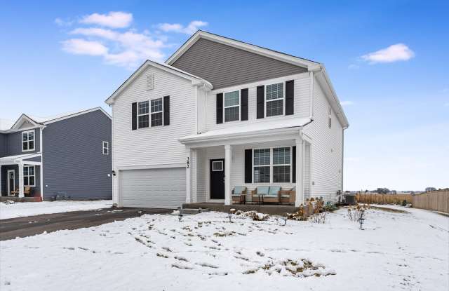 382 Hemlock Lane - 382 Hemlock Lane, Oswego, IL 60543