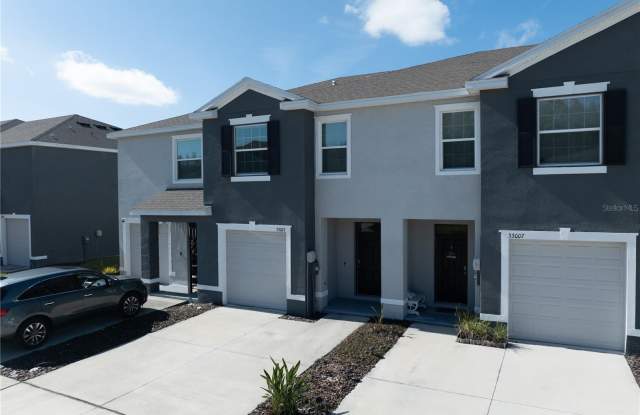 33003 KALOKO ROAD - 33003 Kaloko Road, Wesley Chapel, FL 33543