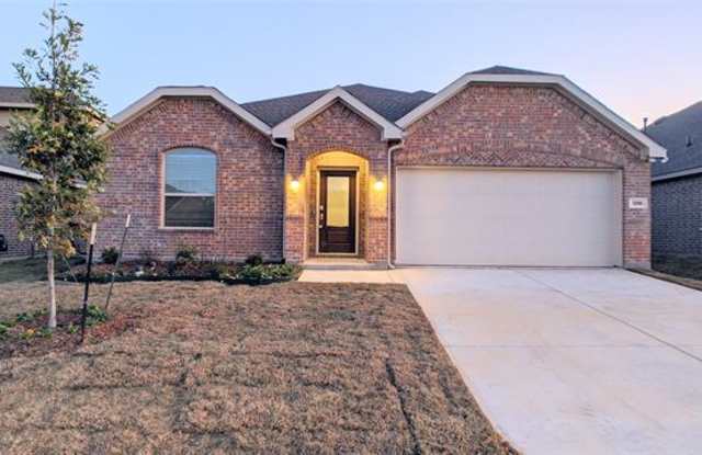 1316 Renoir Drive - 1316 Renoir Dr, Paloma Creek South, TX 75068