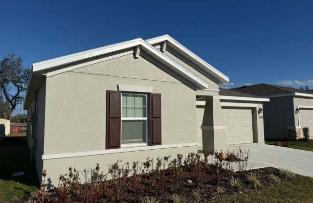 2359 Pocky Way - 2359 Pocky Way, Osceola County, FL 34746