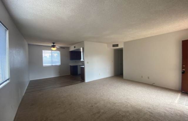 921 Mimosa Circle Gallery 4