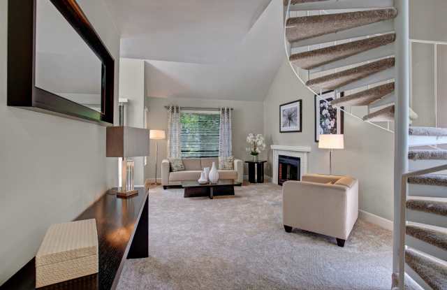 The Cove Gallery 3