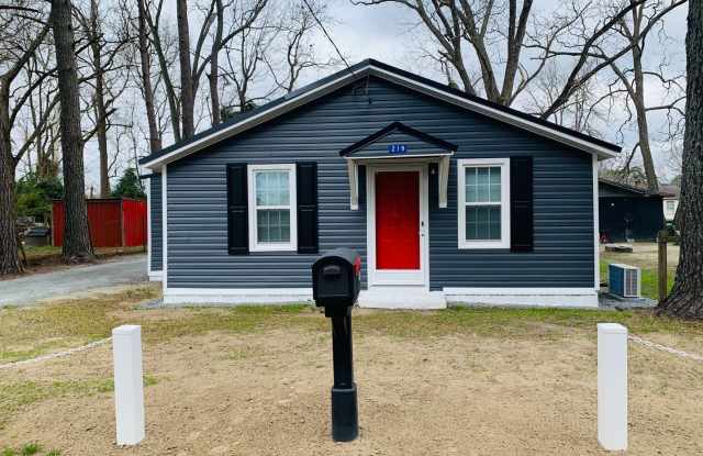 219 Wynn Street - 219 Winn Street, Mount Olive, NC 28365