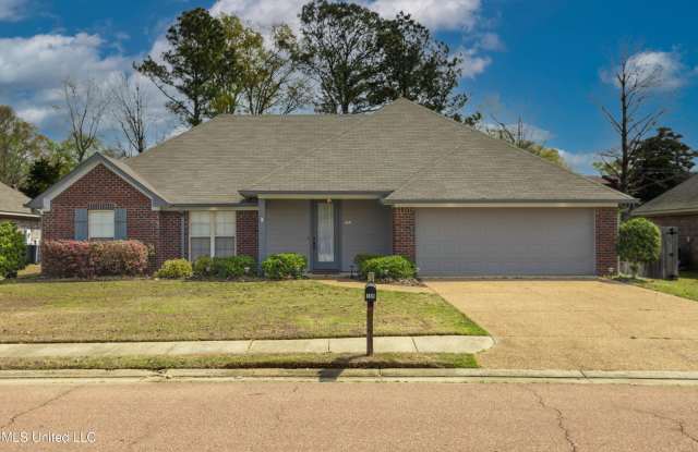 169 Harvey Circle - 169 Harvey Circle, Madison County, MS 39046