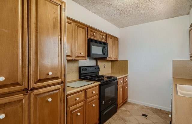 13806 Brays Forest Gallery 3