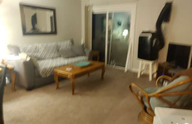 Furnished Oceanfront Condo- On the Beach! Gallery 4