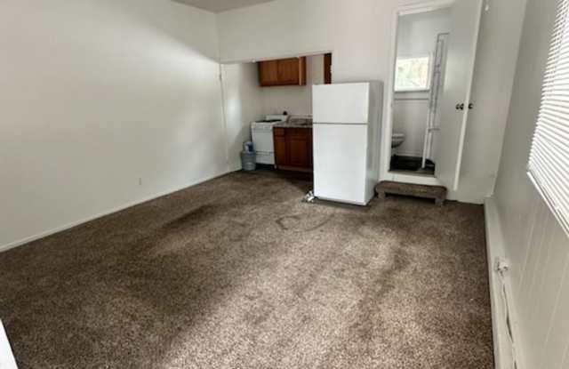 2449 Ponderosa photos photos