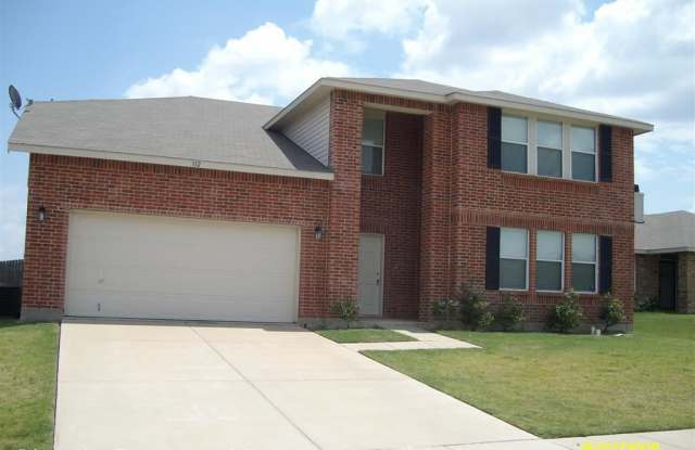 312 Firewheel Rd - 312 Firewheel Road, Burleson, TX 76028