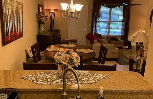 14114 Oakham Street - 14114 Oakham St., Keystone, FL 33626