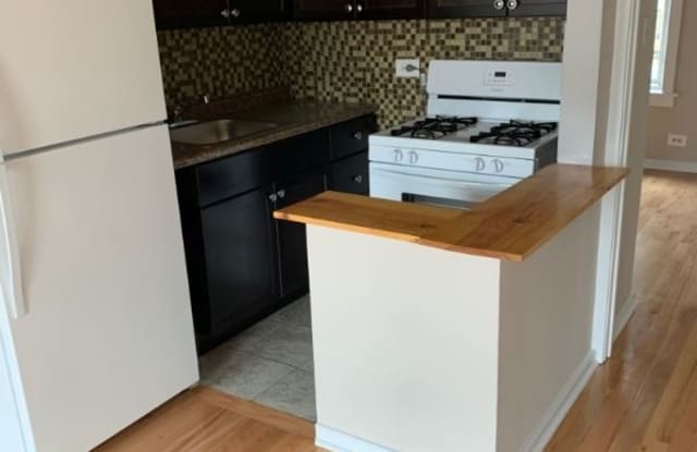 5668 N Ridge Ave - 5668 North Ridge Avenue, Chicago, IL 60660