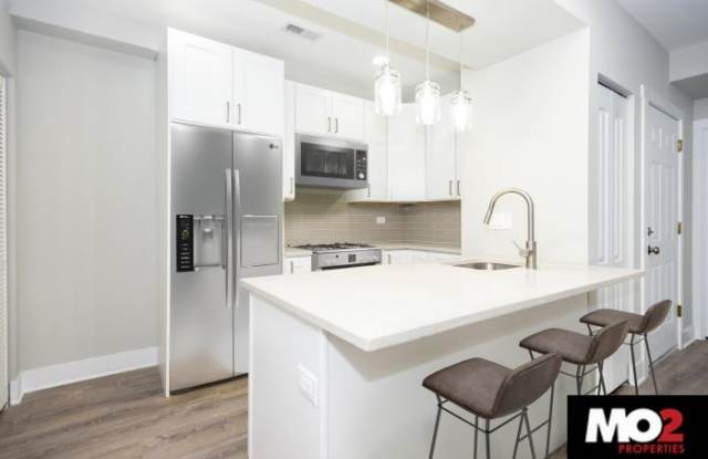 732 North Ada St. - 732 North Ada Street, Chicago, IL 60642