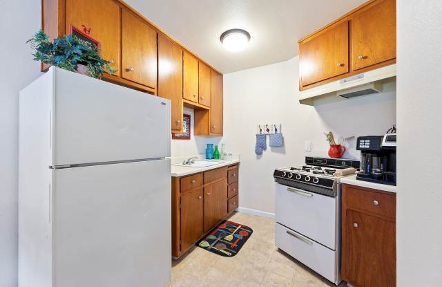 ReNew Arden photos photos