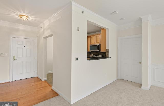 44485 CHAMBERLAIN Terrace Gallery 4