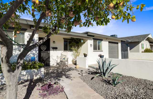 5320 E THOMAS Road Gallery 4