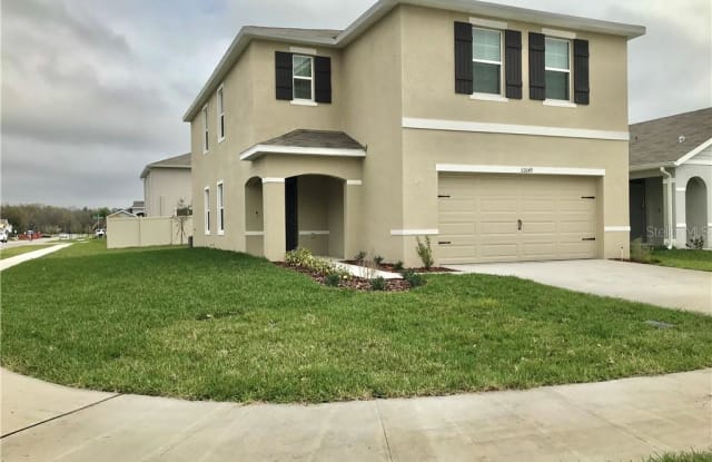 32649 PEZ LANDING LANE - 32649 Pez Landing Ln, Wesley Chapel, FL 33543