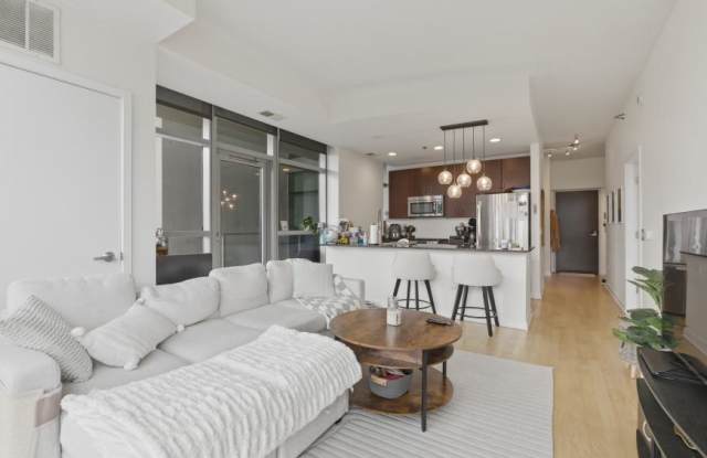 303 West Ohio - 303 West Ohio Street, Chicago, IL 60654