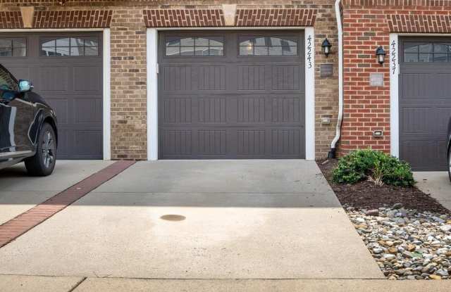 42243 CANARY GRASS Square photos photos 42243 CANARY GRASS Square photos photos