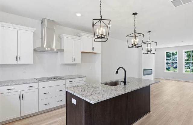 Charming 3BR Townhome in Midlothian Gallery 4