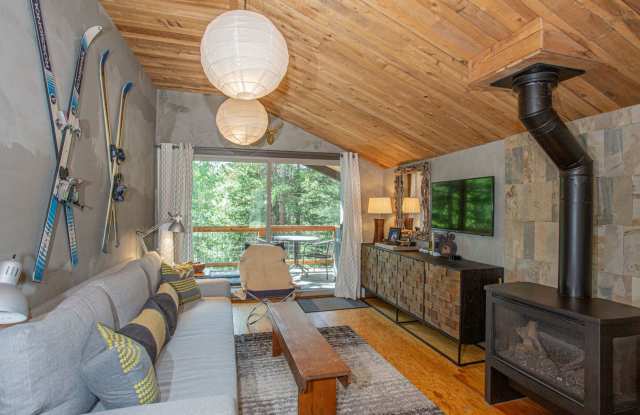 Adorable Mountain Cabin available for a Winter Lease! 25 minutes to Breck. Your mountain basecamp awaits! photos photos