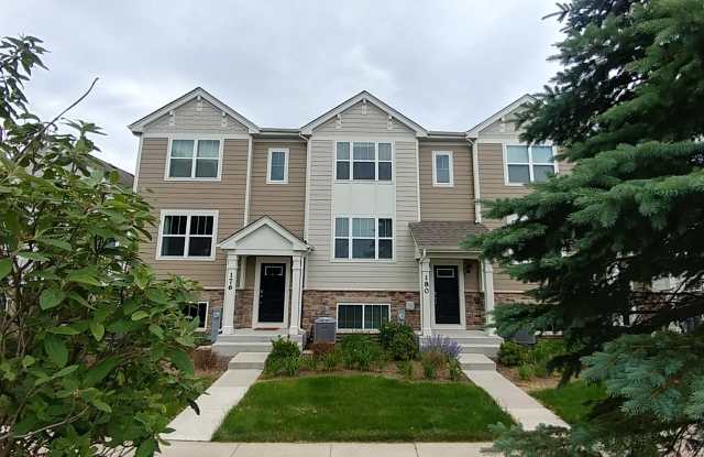 176 Goldenrod Drive - 176 Goldenrod Dr, Elgin, IL 60124