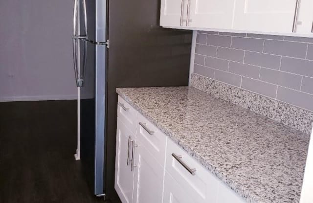 520 Des Plaines - 520 Des Plaines Avenue, Forest Park, IL 60130