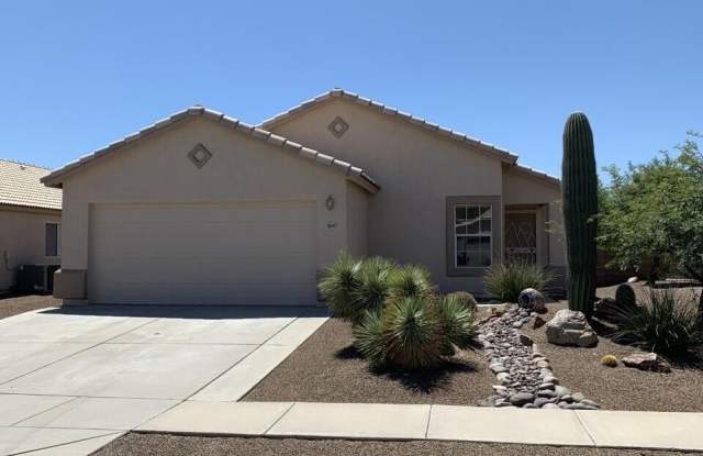 1979 W Cholla Estate Drive photos photos