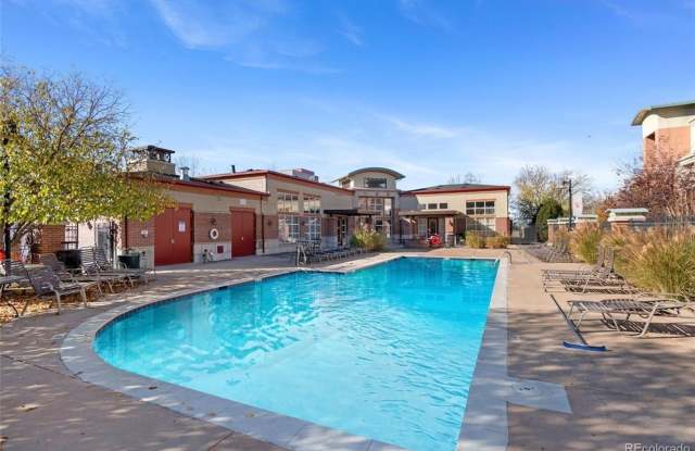 Charming 2BR Condo in Denver photos photos
