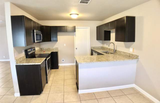 9739 Misty Ash Drive - 9739 Misty Ash, Bexar County, TX 78109