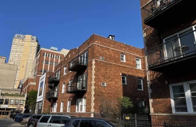 515 W Deming Place - 515 West Deming Place, Chicago, IL 60614