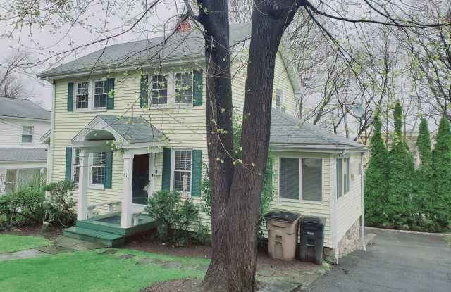 61 Palmer Street photos photos